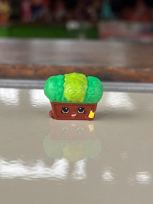 Shopkins arbusto 🌿