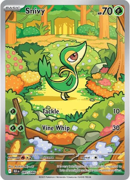 Snivy - 087/086 - SV: Black Bolt (BLK)
