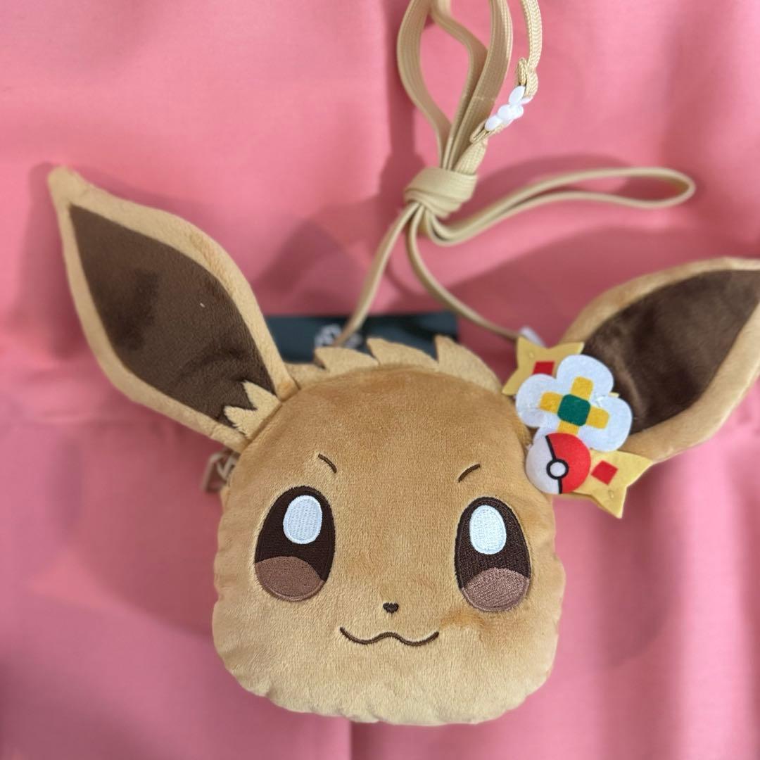Cartera Eevee Pokemon kanto