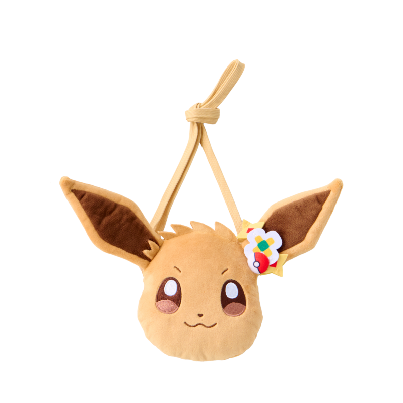 Cartera Eevee Pokemon kanto