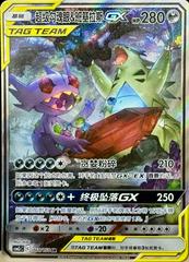Mega Sableye & Tyranitar GX #160 Pokemon Chinese CSM2cC